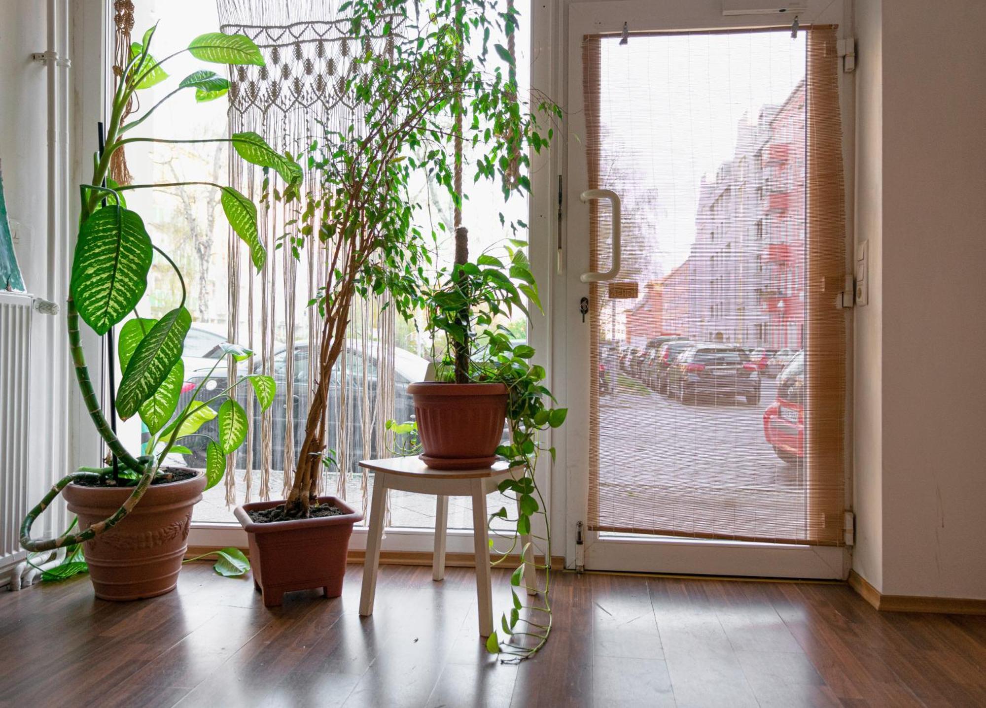 Boutique Altbau Apartment Berlin Ngoại thất bức ảnh